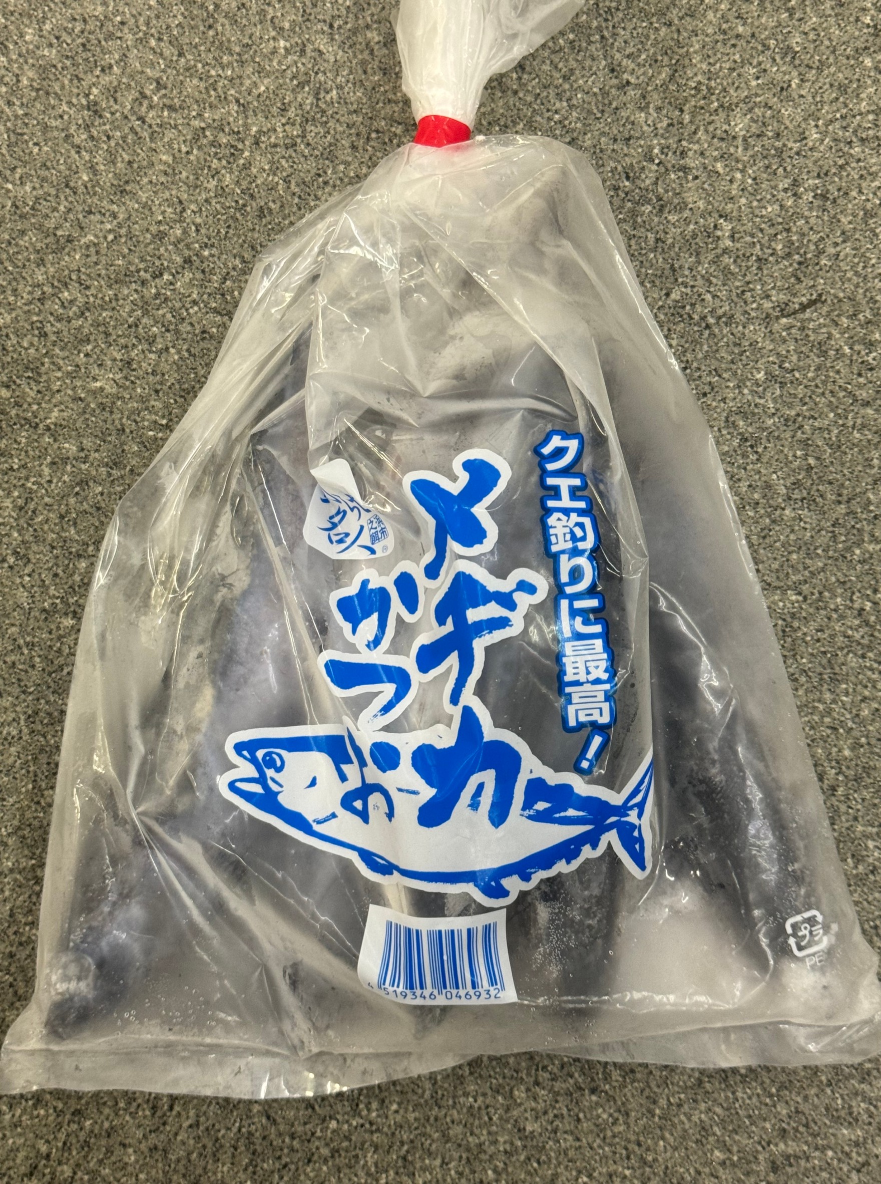 メヂカ（メジカ）ってどんな魚？マルソウダ（ソウダガツオ）の仔魚で、血合いがマルソウダより多く、匂いで誘う為、クエ釣りエサに人気が高い。釣太郎