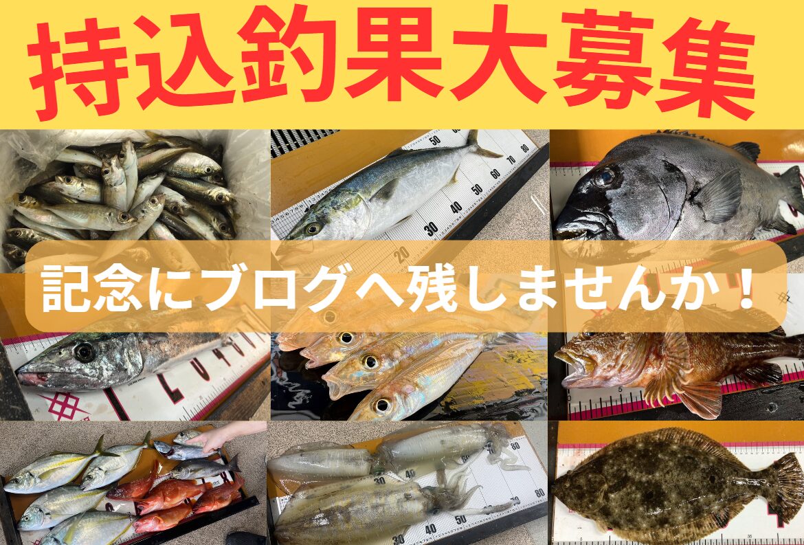 コロダイ、カマス、シブダイ（笛鯛）、タマミ（タマン、ハマフエフキ）、タチウオ（太刀魚）、アオリイカ釣果お待ちしています。釣太郎