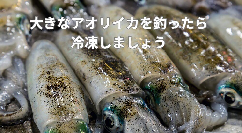 アオリイカは大きくなると身が硬くなり、当日硬くて食べられないが、冷凍庫で凍らせ解凍すると身がまったりして美味しい。ここの理由説明。釣太郎