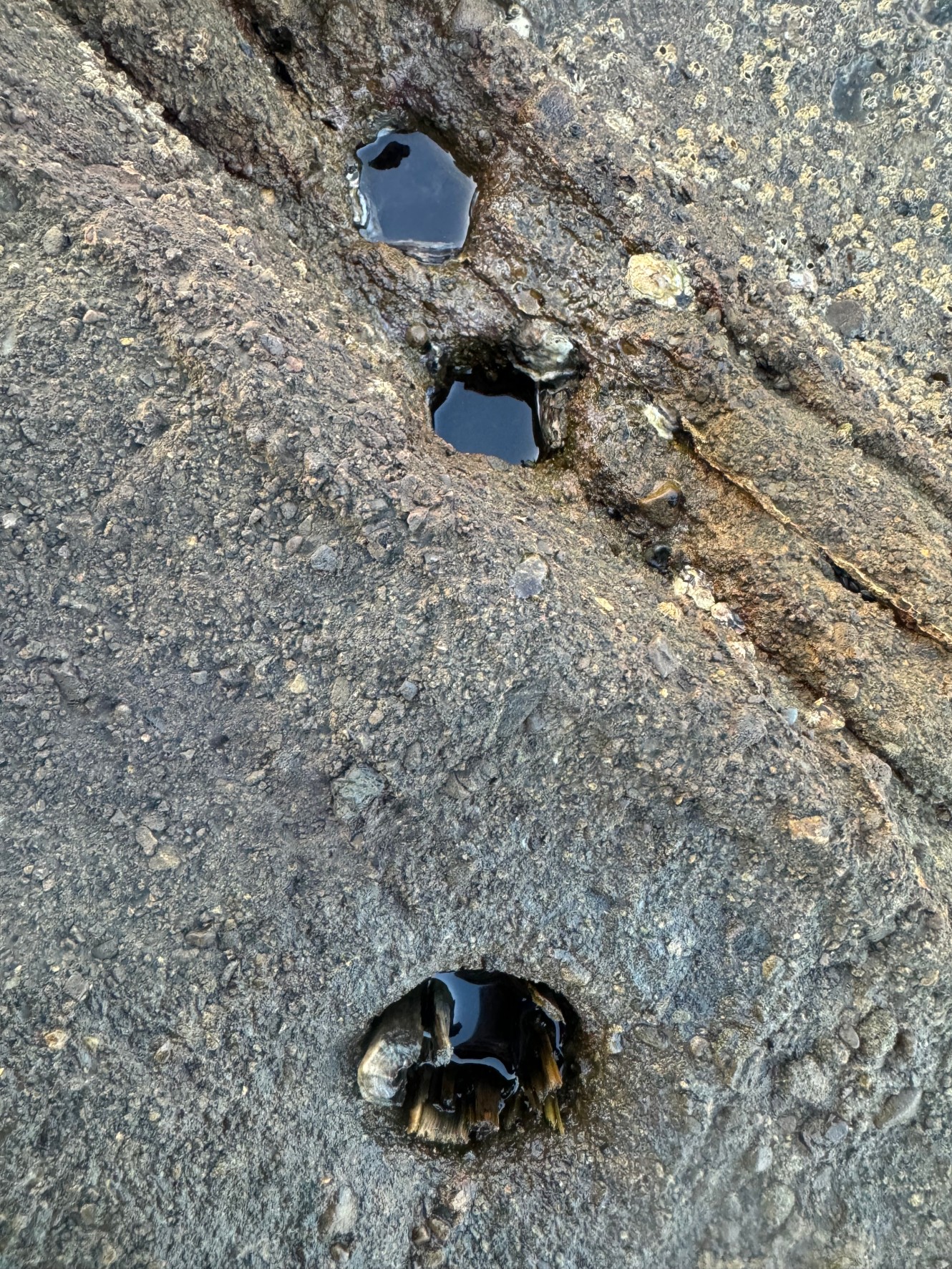 人気がある地磯程、ピトン穴が比例して多くなっています。釣太郎