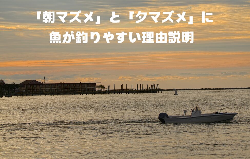 朝一番と日没時、俗にいう朝マズメと夕マズメに魚が釣りやすい理由説明。釣太郎