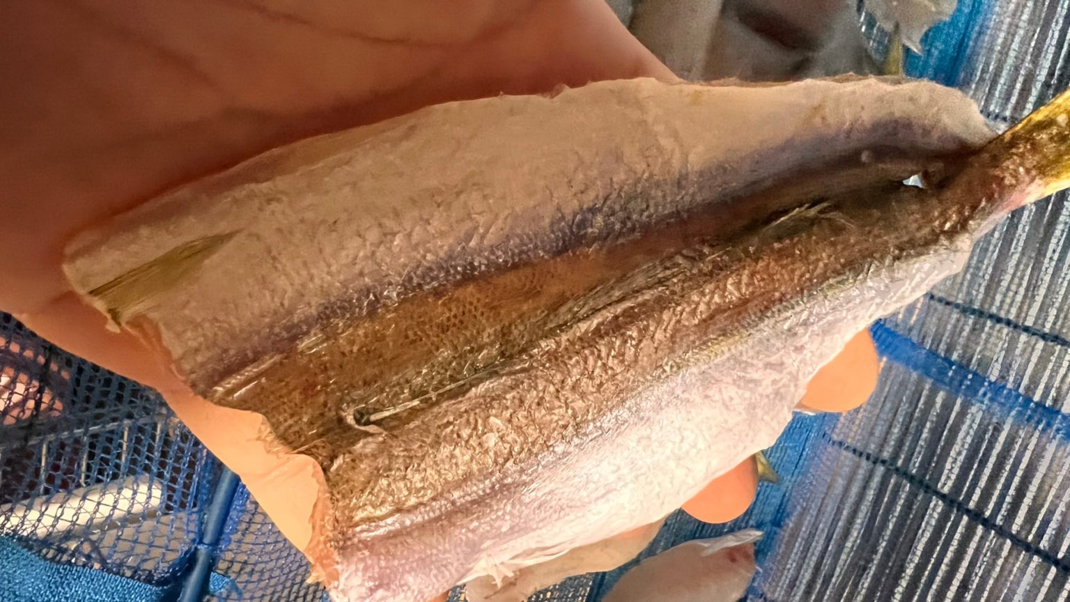 魚の干物は、頭が付いているものと、無いものがある。この理由説明。釣太郎