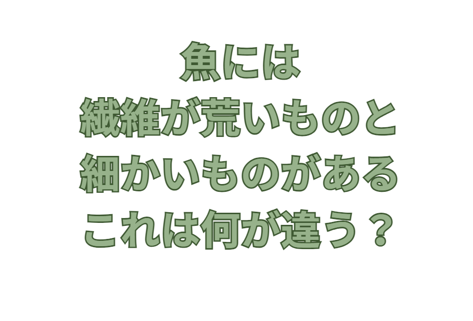 魚の身は、繊維が細かいものと荒いものがある。この違いのご説明。釣太郎