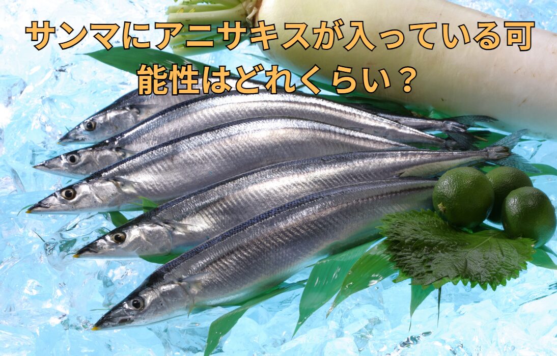 サンマにアニサキスが入っている可能性は、どれくらいある?釣太郎