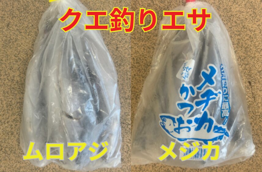 ムロアジとメジカ（マルソウダ、ソウダガツオ）共に５匹入り。クエのエサ。釣太郎