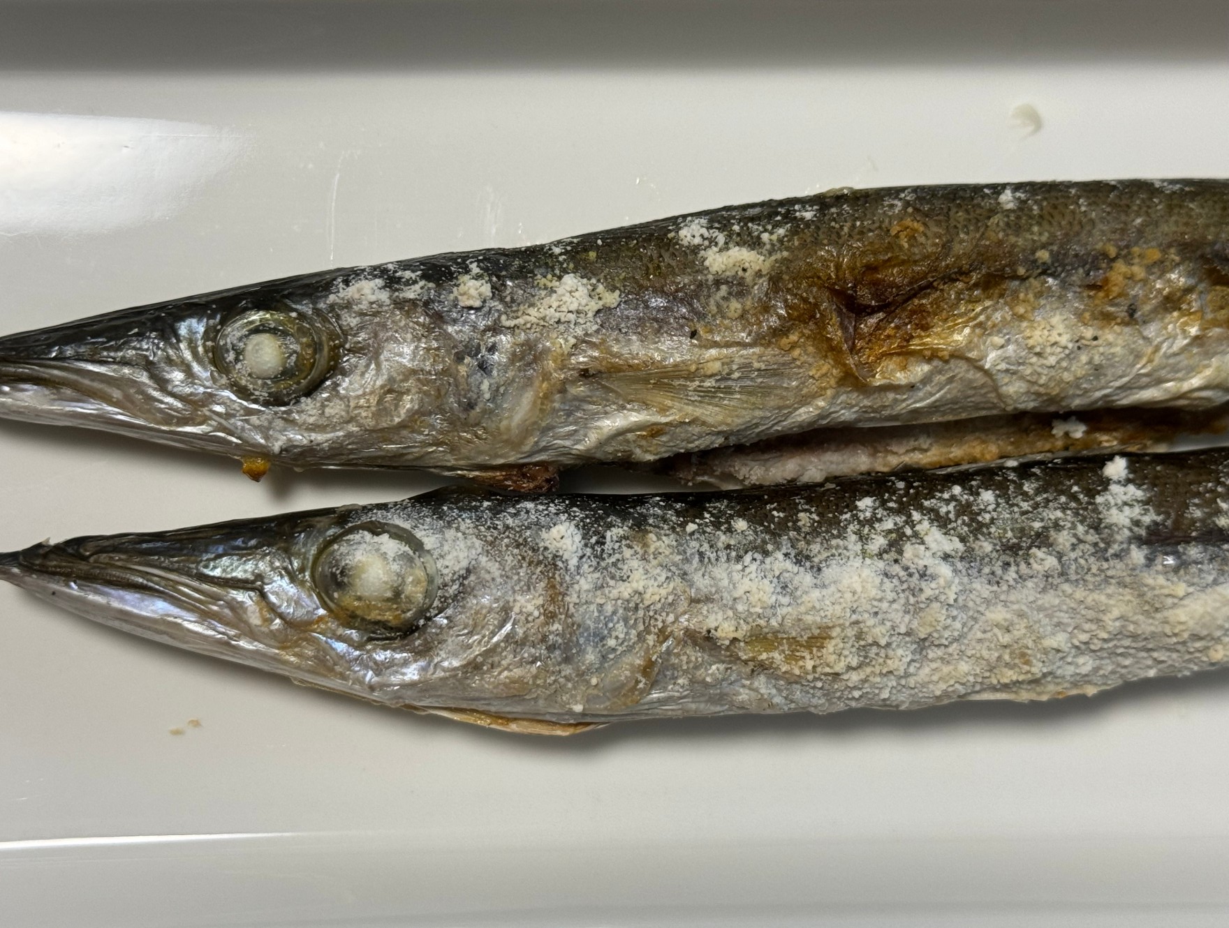 秋魚としてサンマと人気を二分するカマス。塩焼きが定番ですが、繊維が細かくて、肉質が柔らかいので食べやすいのが人気の秘密。釣太郎