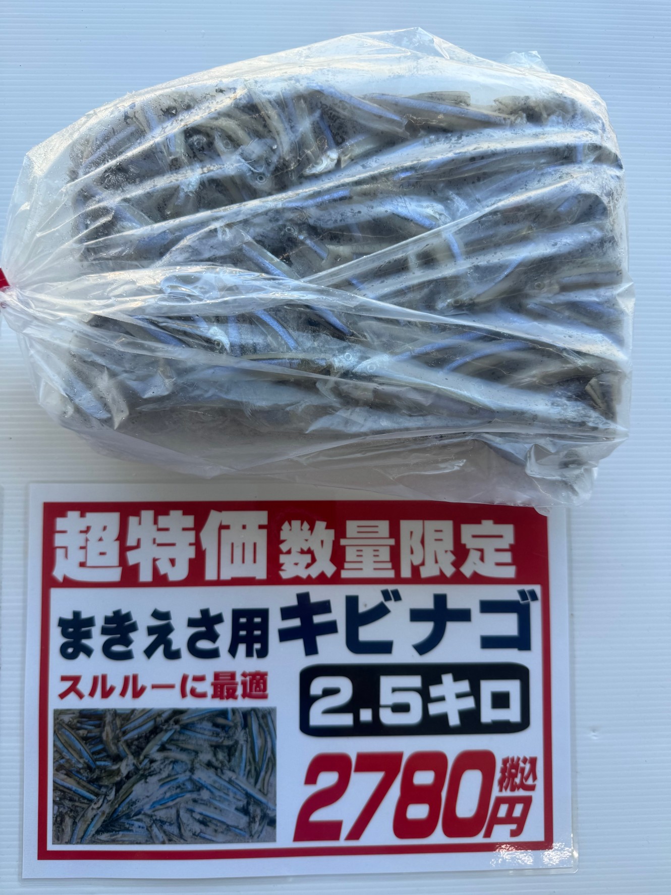 キビナゴ2.5㌔2780円は超特価の限定販売。イワシブロックもあります。スルルー釣りエサ紹介。釣太郎