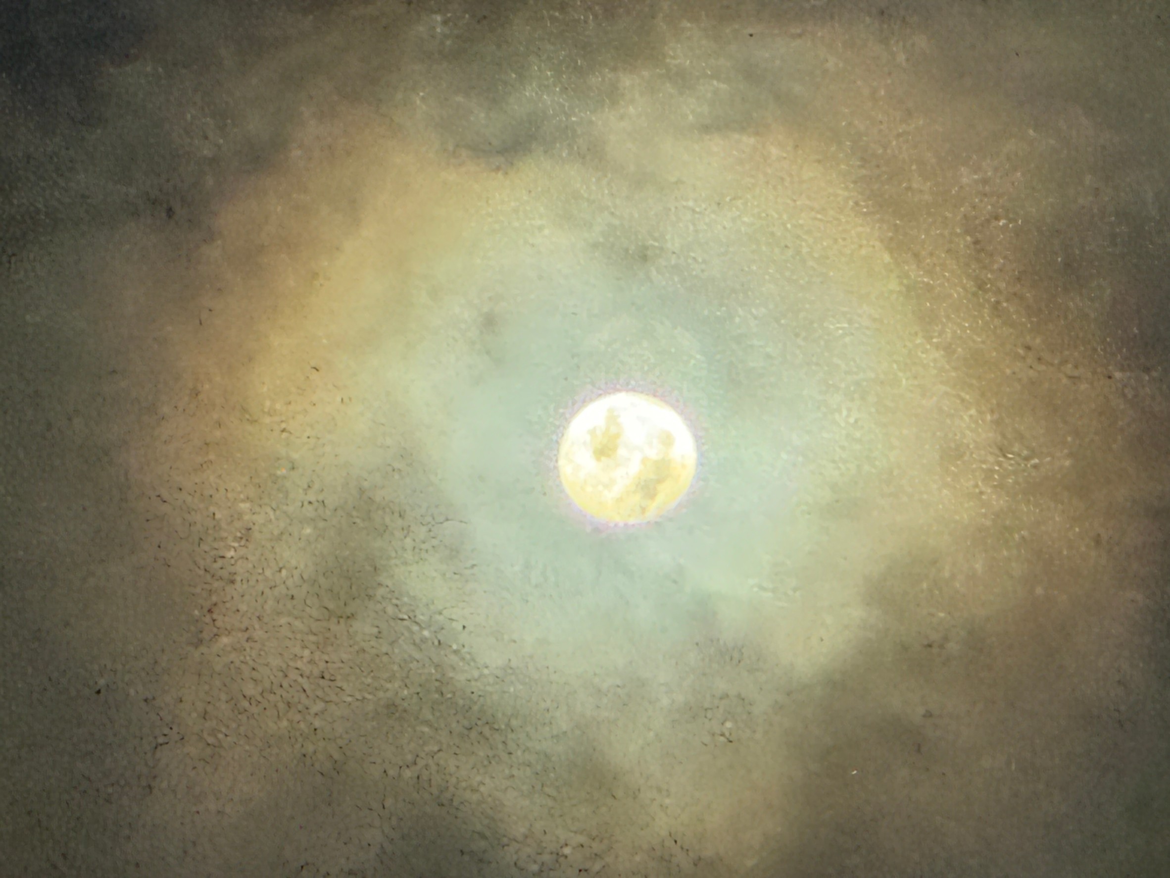 海から見る付きは最高。釣太郎