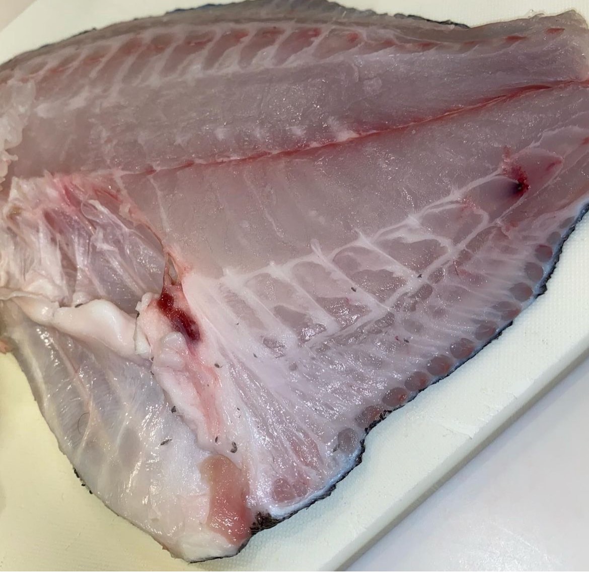 マダイの旬 和歌山釣り 釣太郎 料理