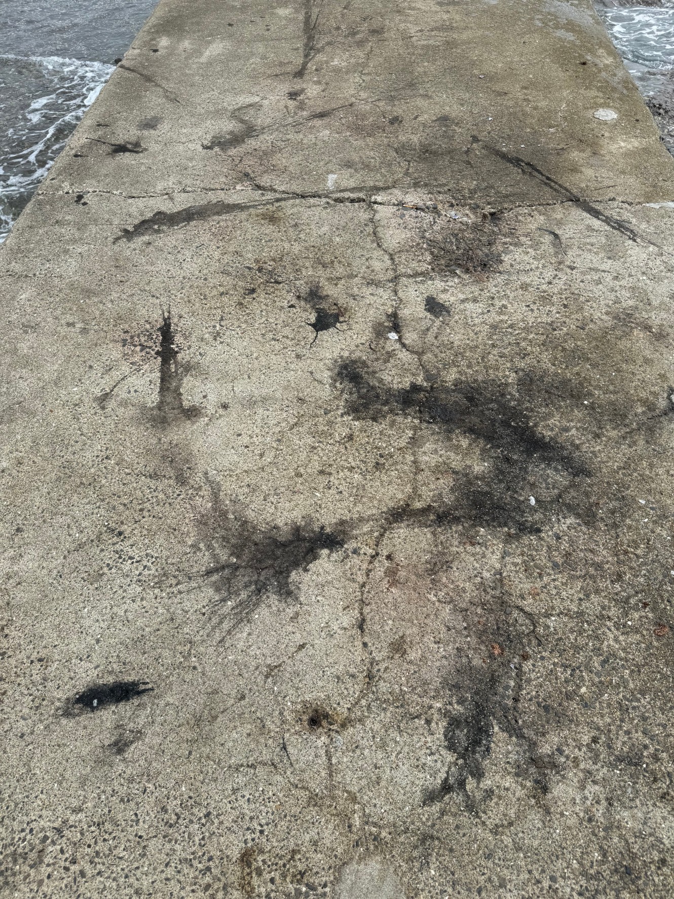 みなべ町堺森の鼻の墨跡。9月27日金曜日。釣太郎