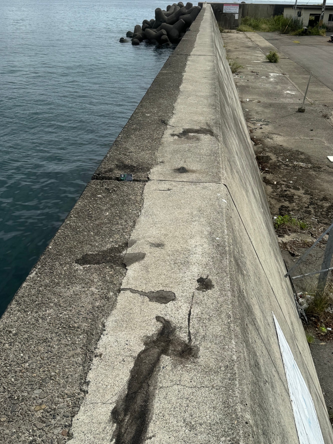 9月27日金曜日、みなべ店前グランド横の墨跡。釣太郎