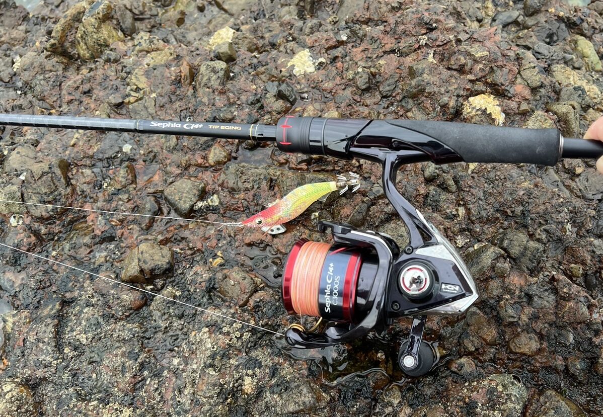 エギング 南紀和歌山 釣太郎 森の鼻 アオリイカ みなべ町