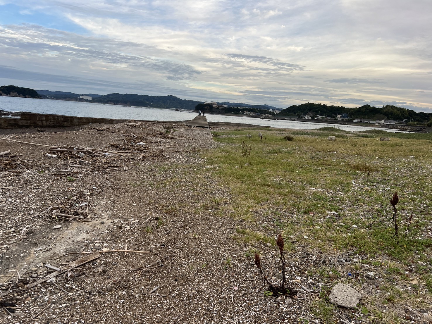 エギング　南紀和歌山　釣太郎　森の鼻　アオリイカ　みなべ町