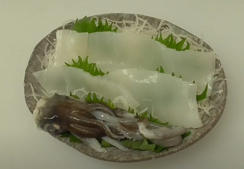 アオリイカの刺身は当日食べるより、数日冷蔵庫で寝かしたほうが旨いと言われる理由説明。釣太郎