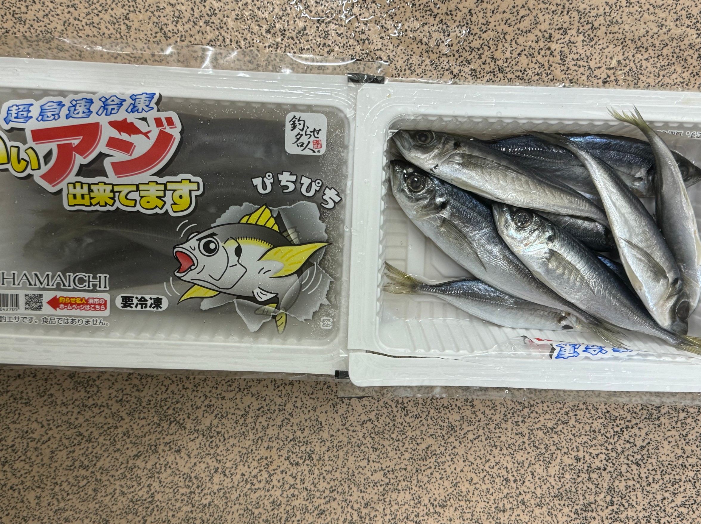 冷凍アジを使ってウキ釣りする場合、アジが立った状態にならないように、出来るだけ横に泳いでいる様子に使づけるのがベスト。アオリイカ釣り入門。釣太郎