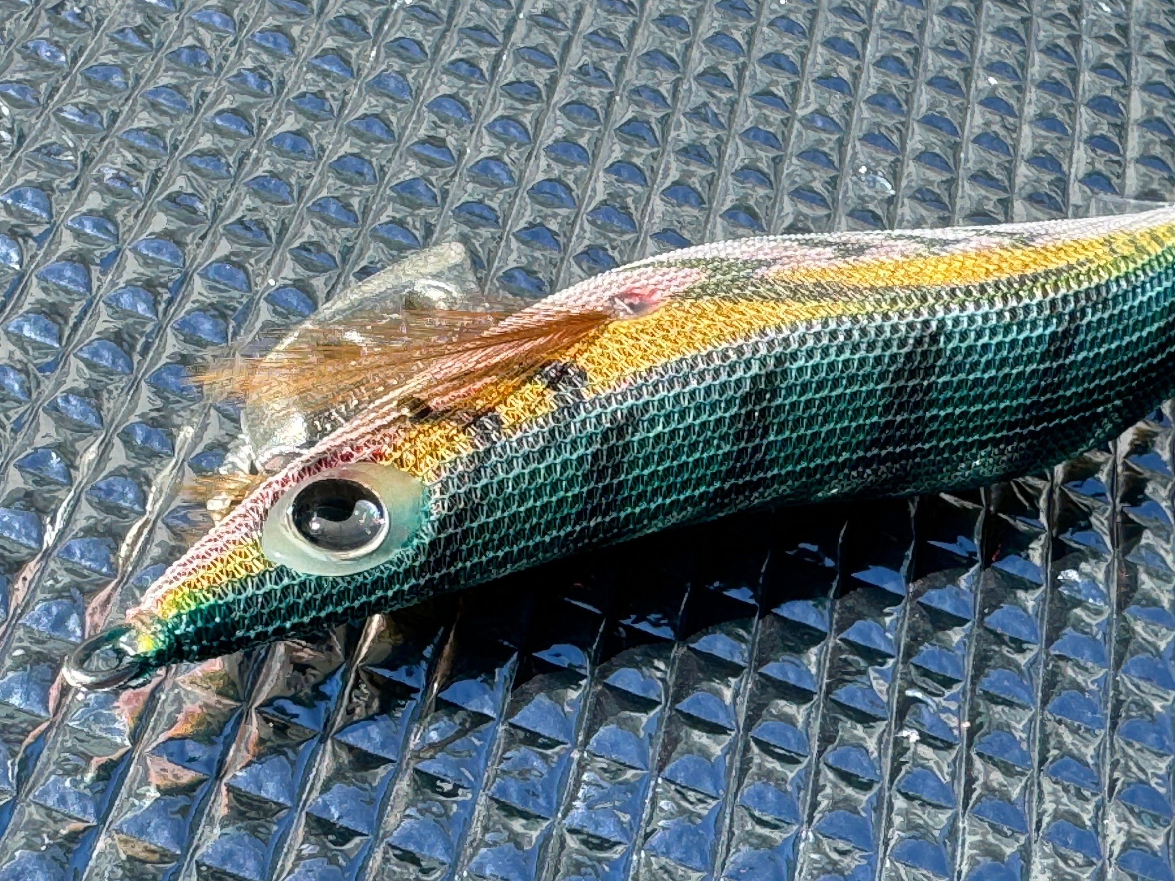 見事としか言いようながないほど、きれいに仕上がっているヤマシタエギ王軍艦グリーン。まさにエギの頂点そのもの。釣太郎