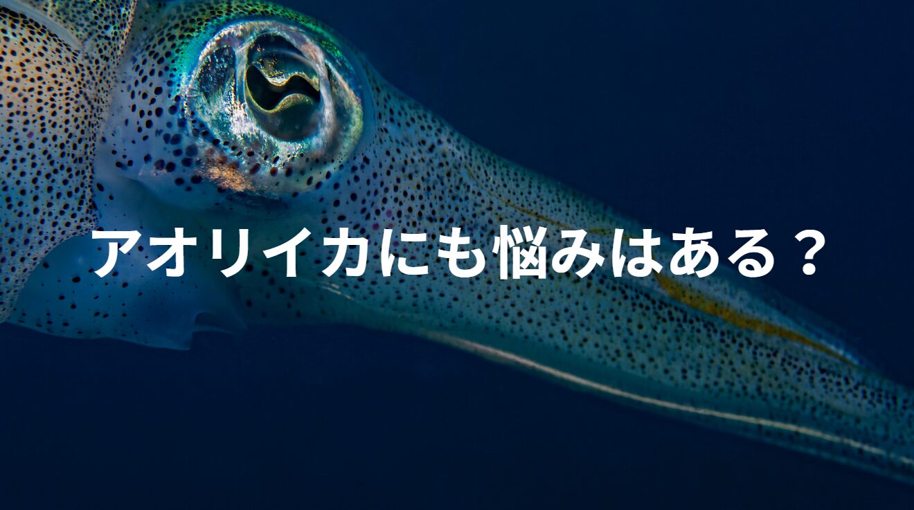 アオリイカにも煩悩や悩みはあるのか？釣太郎