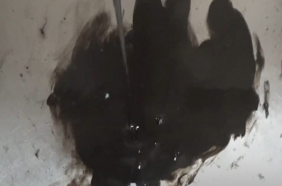 釣り人には難敵のアオリイカの墨、成分と効能について説明。釣太郎