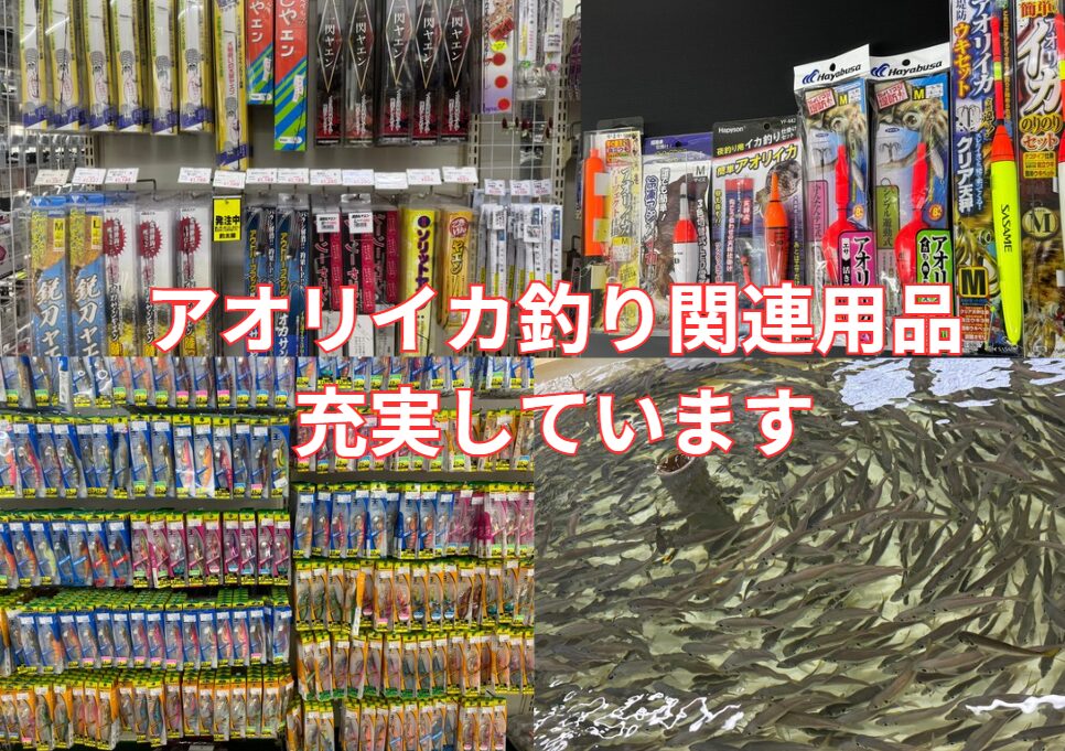 アオリイカ釣り絶好調。エギ、泳がせ仕掛け、ヤエン。現地なので豊富に品ぞろえしています。もちろん活アジもあります。和歌山釣太郎