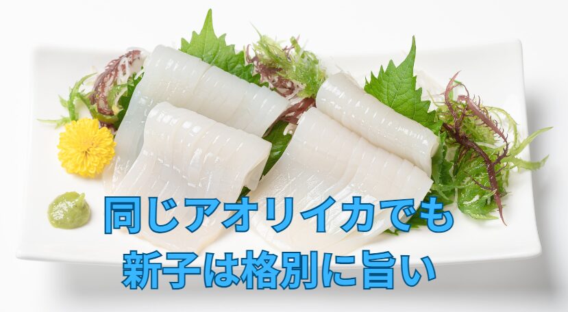 同じアオリイカはでも新子の旨さは格別。冷凍しても大型は、新子の旨味には勝てません。釣太郎