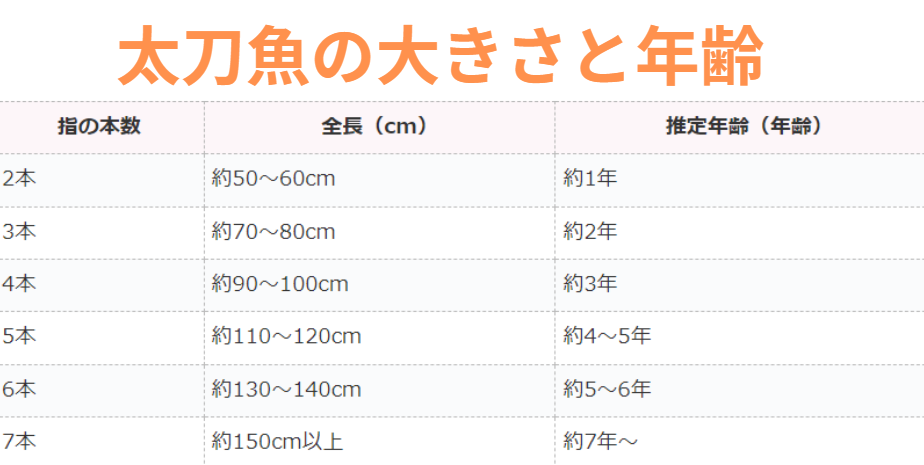 タチウオ（太刀魚）の年齢とサイズ（指換算）の関係表。釣太郎
