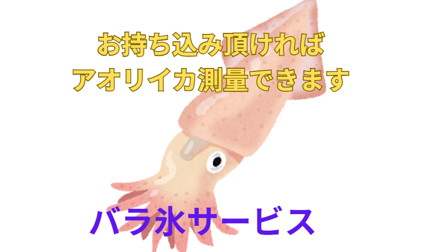 アオリイカ、カマス、タチウオ、お持ち込みください。釣太郎