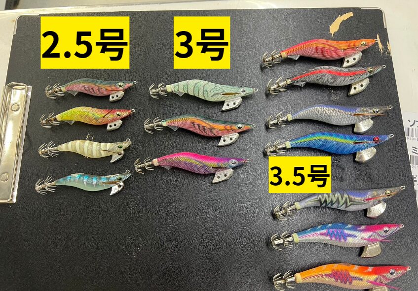 エギは何回投げれば、アオリイカがヒットする？エギング入門。釣太郎