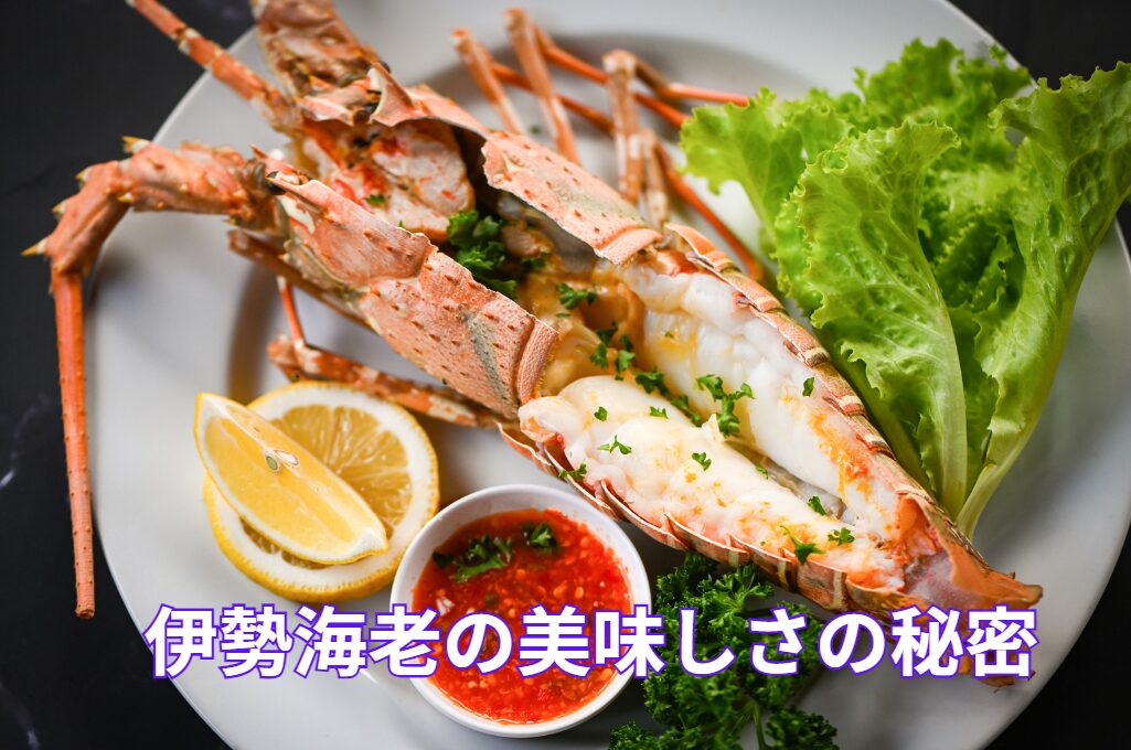 伊勢海老（イセエビ）はなぜ美味しいのか、その理由説明。釣太郎