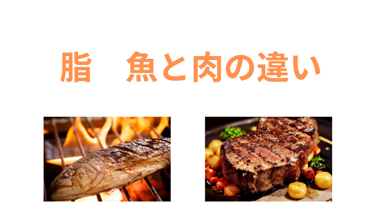 魚と肉の脂の違いは何？人体に及ぼす影響は？釣太郎