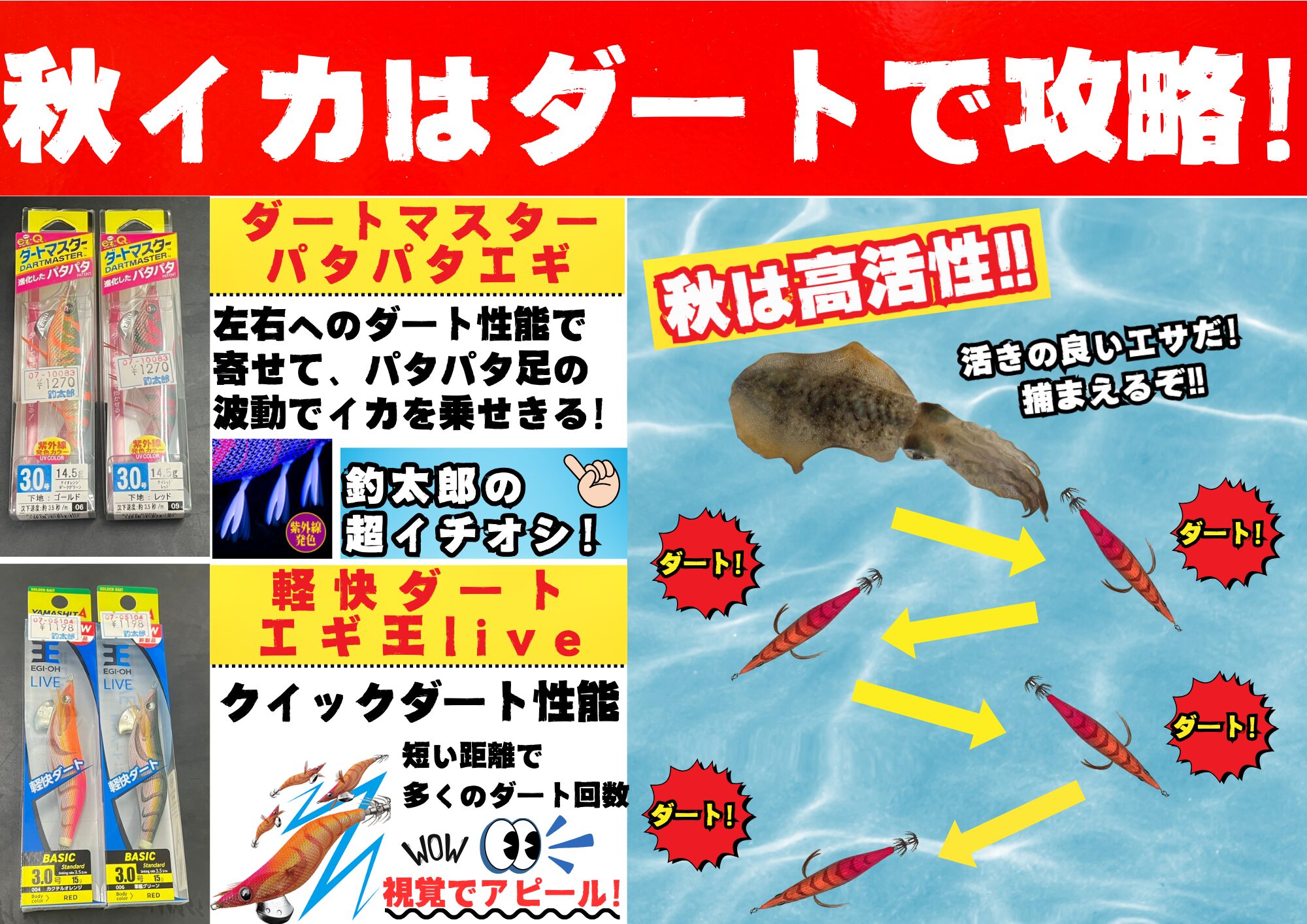 横揺れしジグザグに動くダート。秋の新子アオリイカ釣りに最適エギ。エギング入門。釣太郎