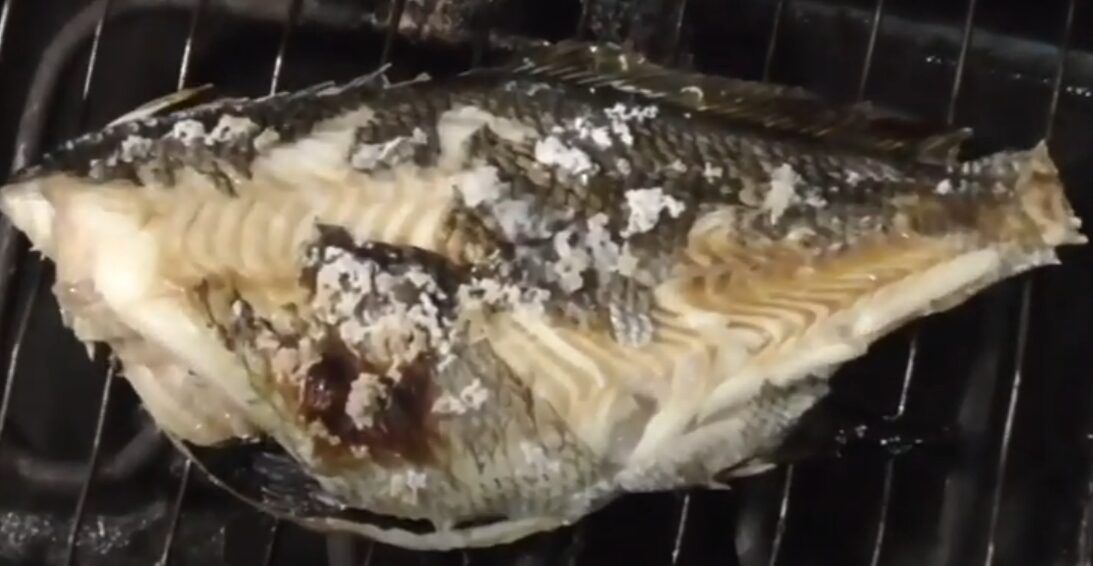 タカノハダイのようなにおいがきつい魚は、直火で強い目に焼き、その後に付けにすると美味。釣太郎