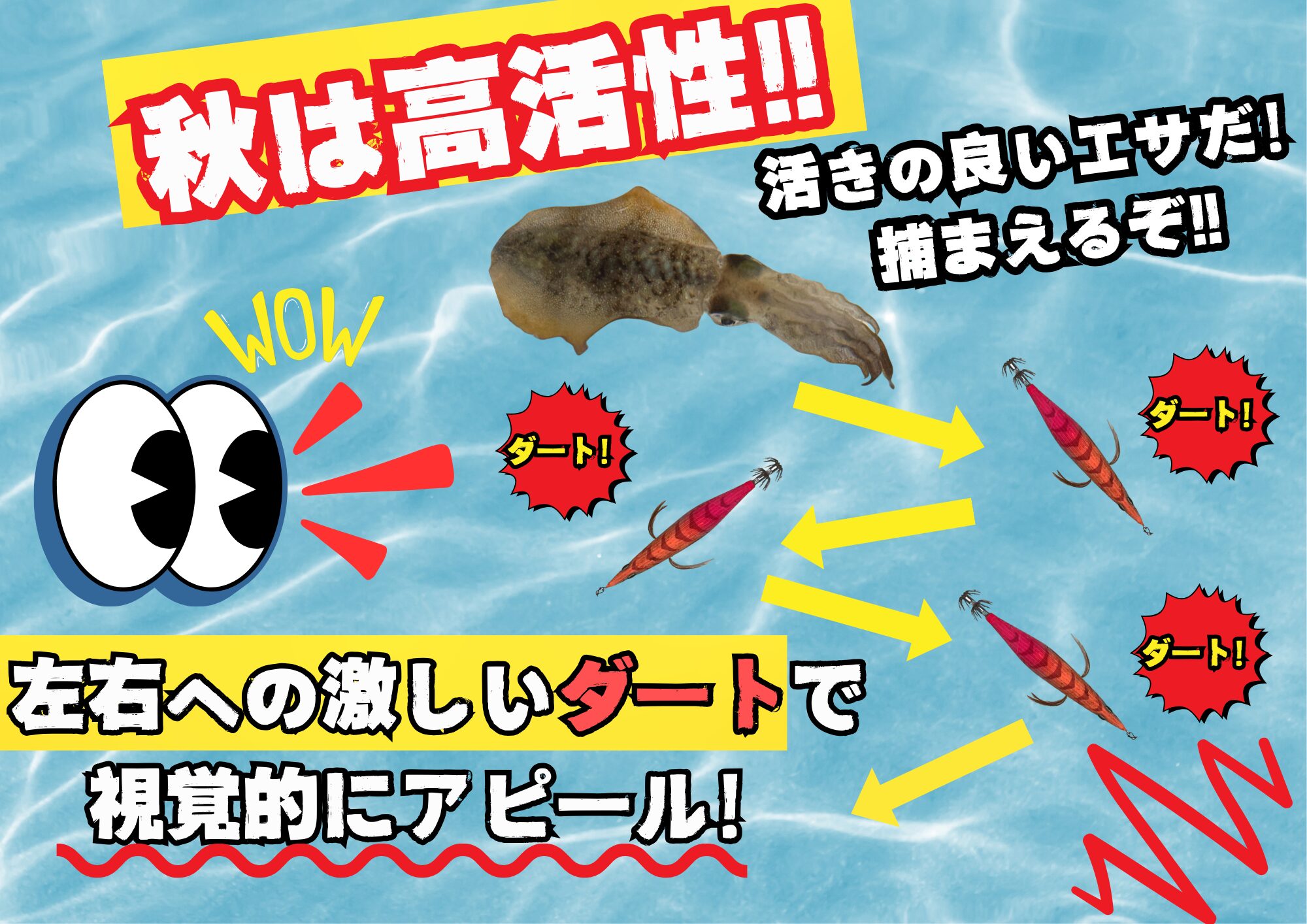 秋のアオリイカ新子は、ダート（横揺れ）ジグザグ動きが有効。エギング入門。釣太郎