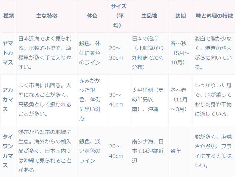 カマス3兄弟の見分け方説明。タイワン、アカ、ヤマト、それぞれの特徴紹介。堤防釣り秋魚紹介。釣太郎
