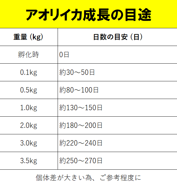 成長速度が速いアオリイカ。一潮ごとに大きくなるが、孵化してからの日数と、重量の関係。釣太郎