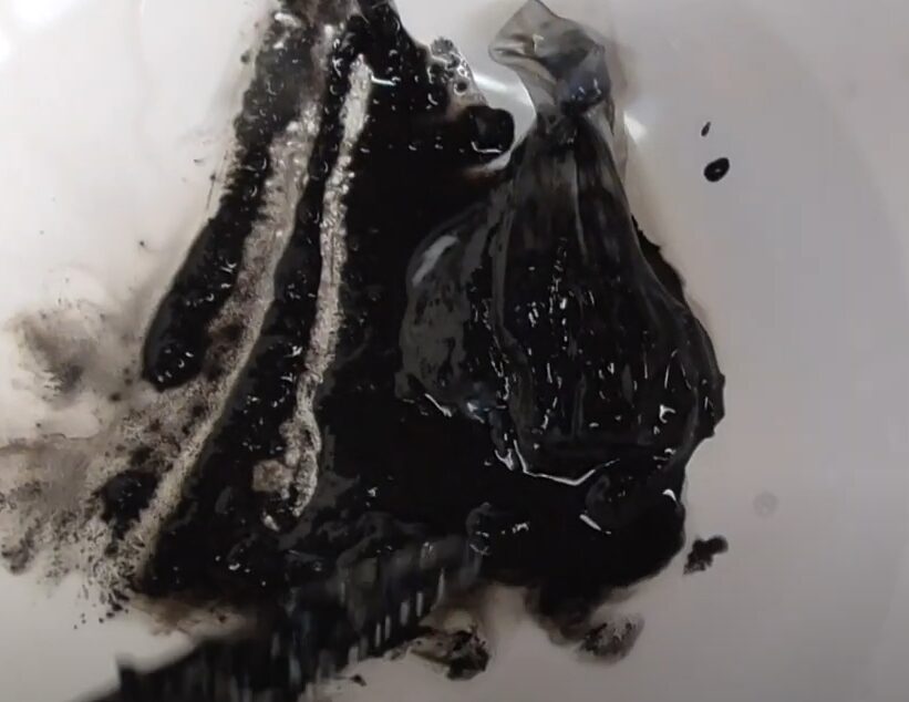 アオリイカは、どうやって墨を作って溜めているのか？秋限定で、釣太郎みなべ店で、泳ぐアオリイカを展示飼育しています。