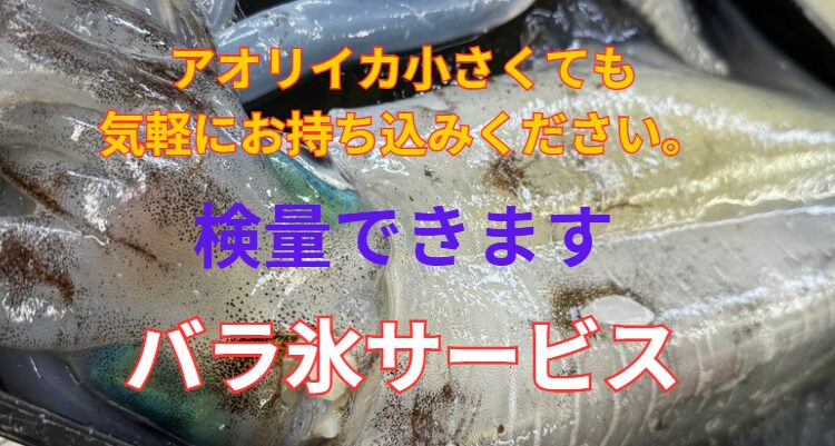 バラ氷サービス。アオリイカ気軽にお持ち込みください。測量できます。釣太郎