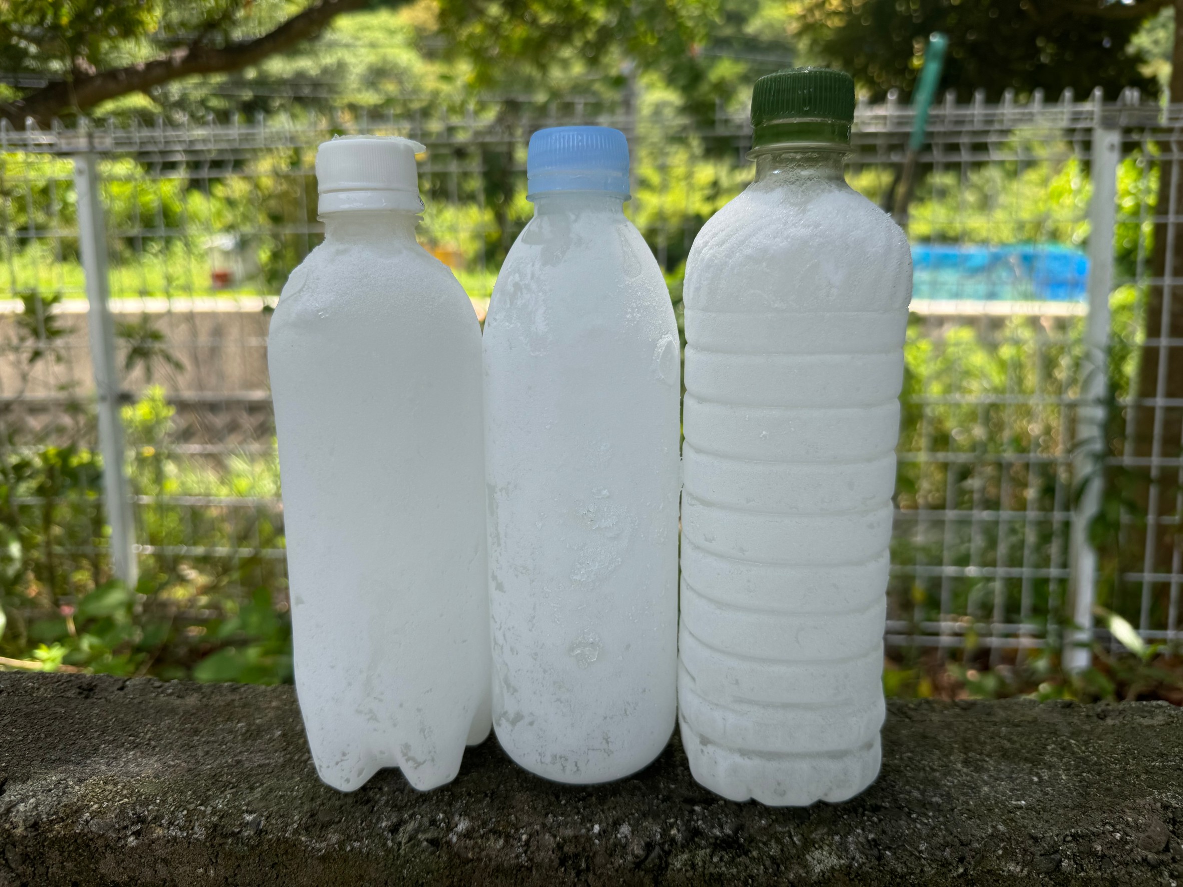 手軽に魚が冷やせるとペット氷が人気急上昇中。中身は海水を入れています。釣太郎