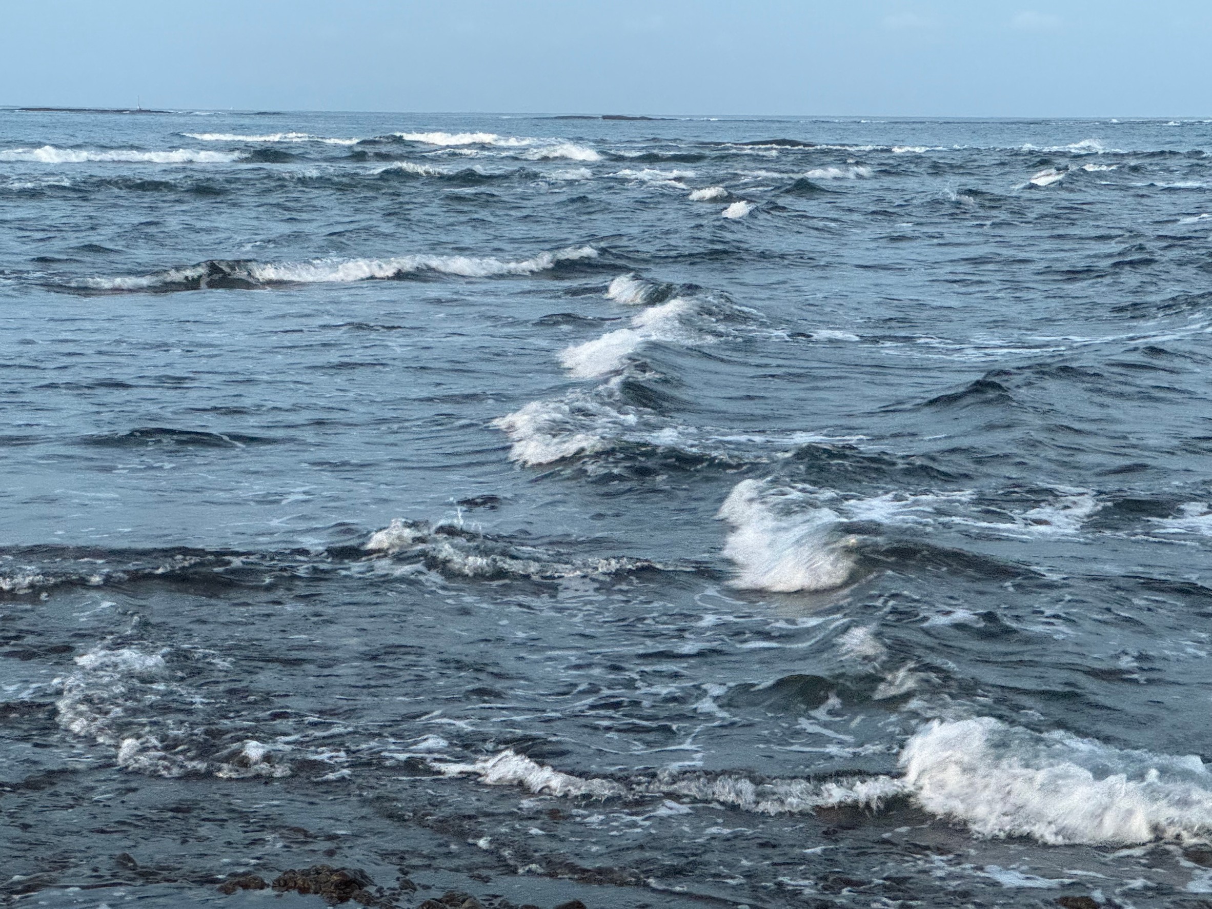 海を眺めていると心が落ち着くのは、目と耳が海に奪われ頭の中が空っぽになっていくから。釣太郎
