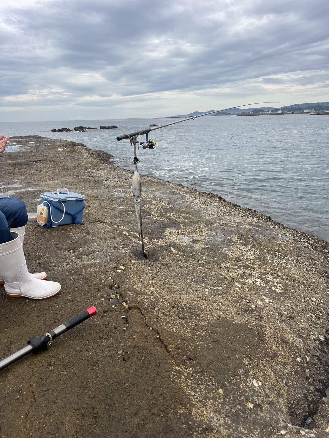 天神崎　エギング　アオリイカ　和歌山　釣太郎