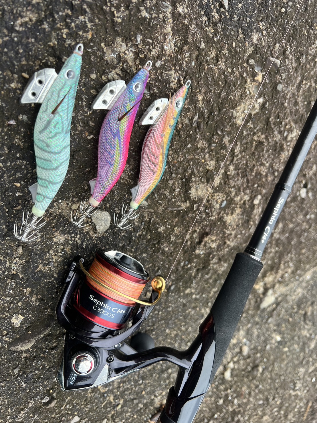 天神崎　エギング　アオリイカ　和歌山　釣太郎