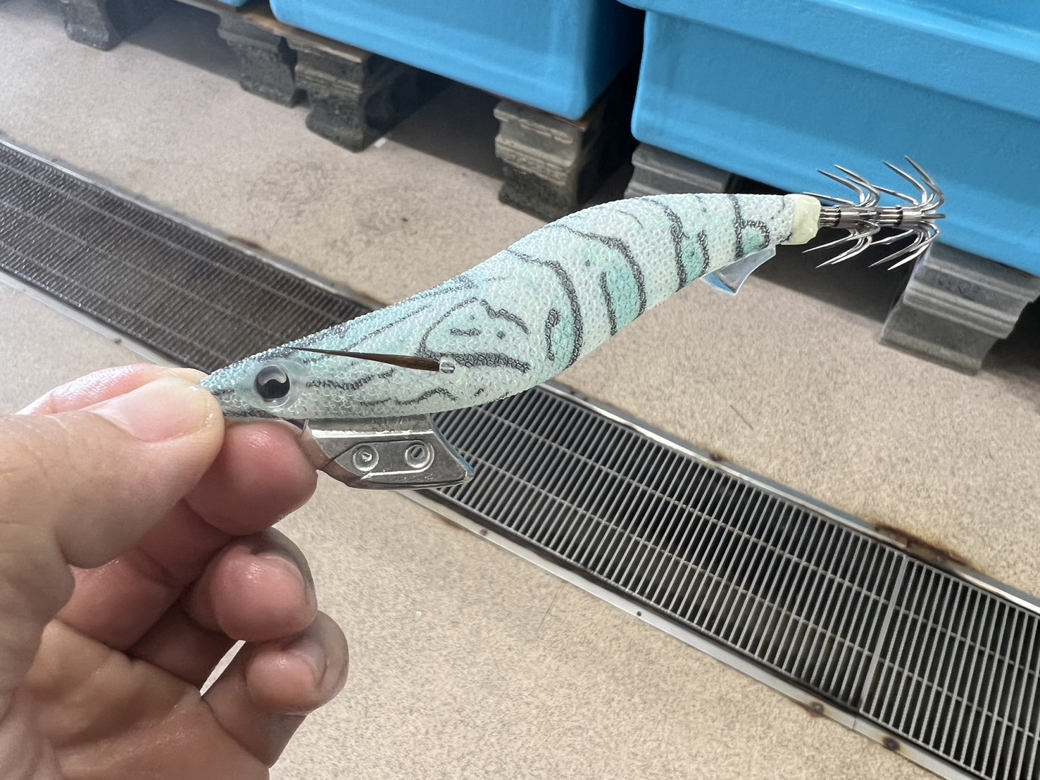 エギング　ヤマシタエギ王K　オススメカラー　ホタルエビ　釣れる　釣太郎　アオリイカ