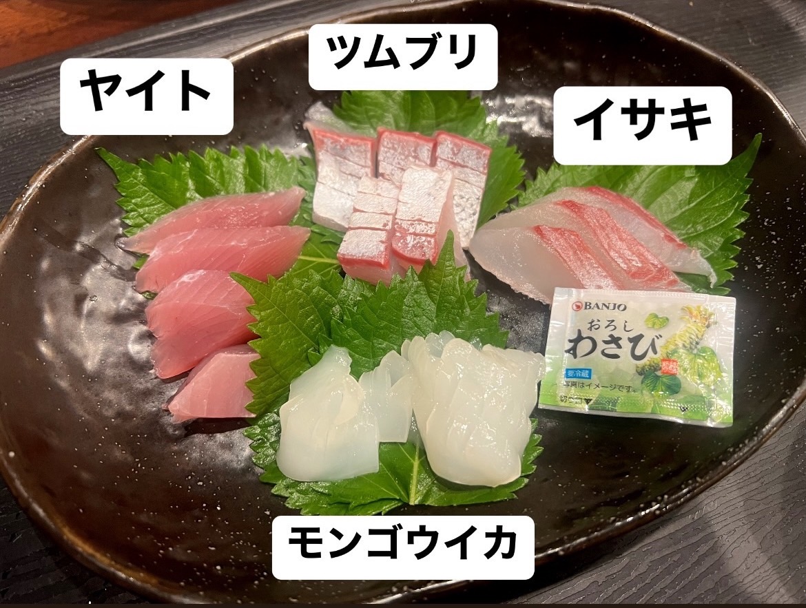 和歌山　釣り　魚料理　刺身　イサキ　ヤイトガツオ　スマ　モンゴウイカ　ツムブリ　レインボーランナー