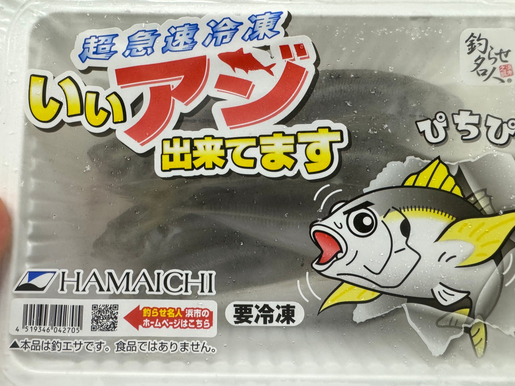 冷凍アジでもアオリイカは釣れるが、活アジの方が反応がいい。どれほど違いがあるのか?冷凍アジも動かし誘っていれば、全く同じ効果があるか?釣太郎