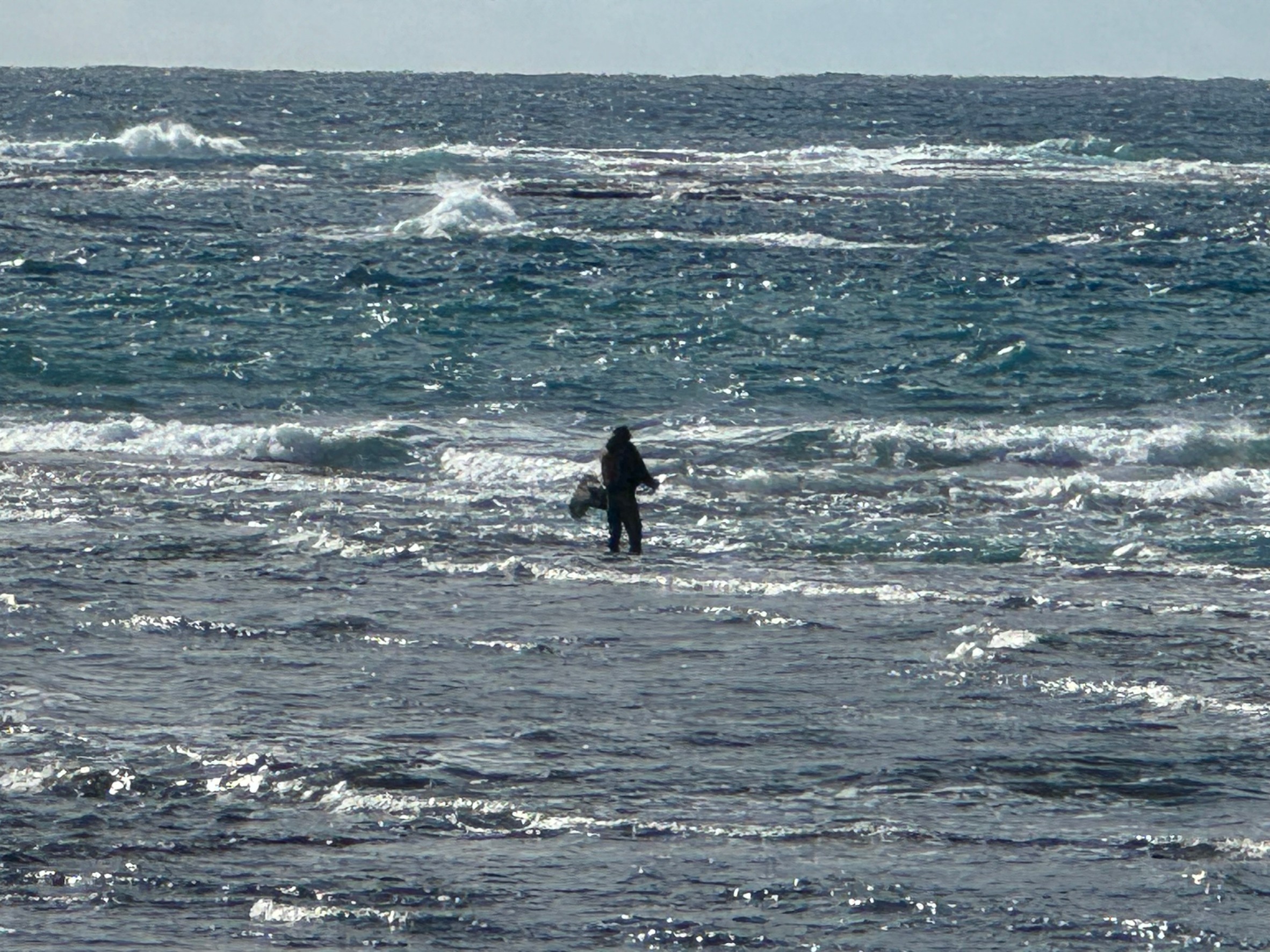 海が荒れた時は魚が釣りやすいという。特に警戒心が強いグレはてき面とも。これには科学的根拠があるか？釣太郎