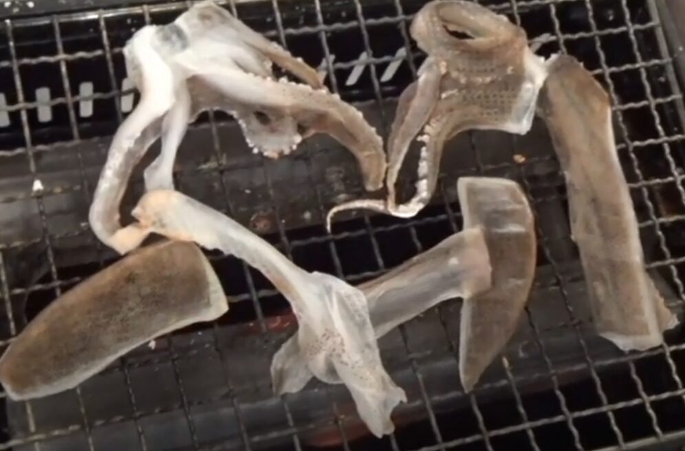 アオリイカの干物は絶品。スルメイカ戸とは段違いの旨さ。その理由説明。釣太郎