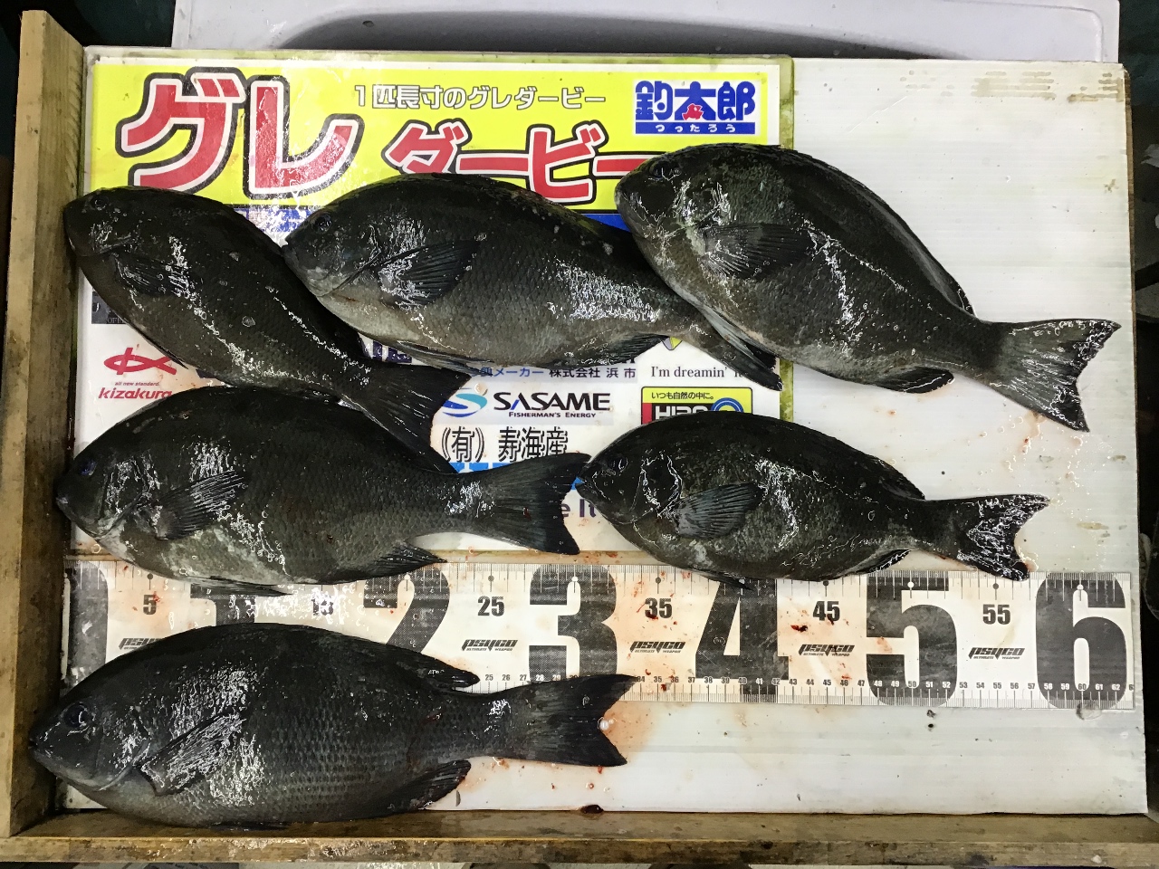 和歌山南紀は２月頃、冬型天気が続くと北風により海水温が冷やされ、１４度くらいまで下がることもある。 みなべ田辺エリアではチヌののっこみが始まり、白浜～すさみ辺りではグレが極端に喰い渋る。釣太郎