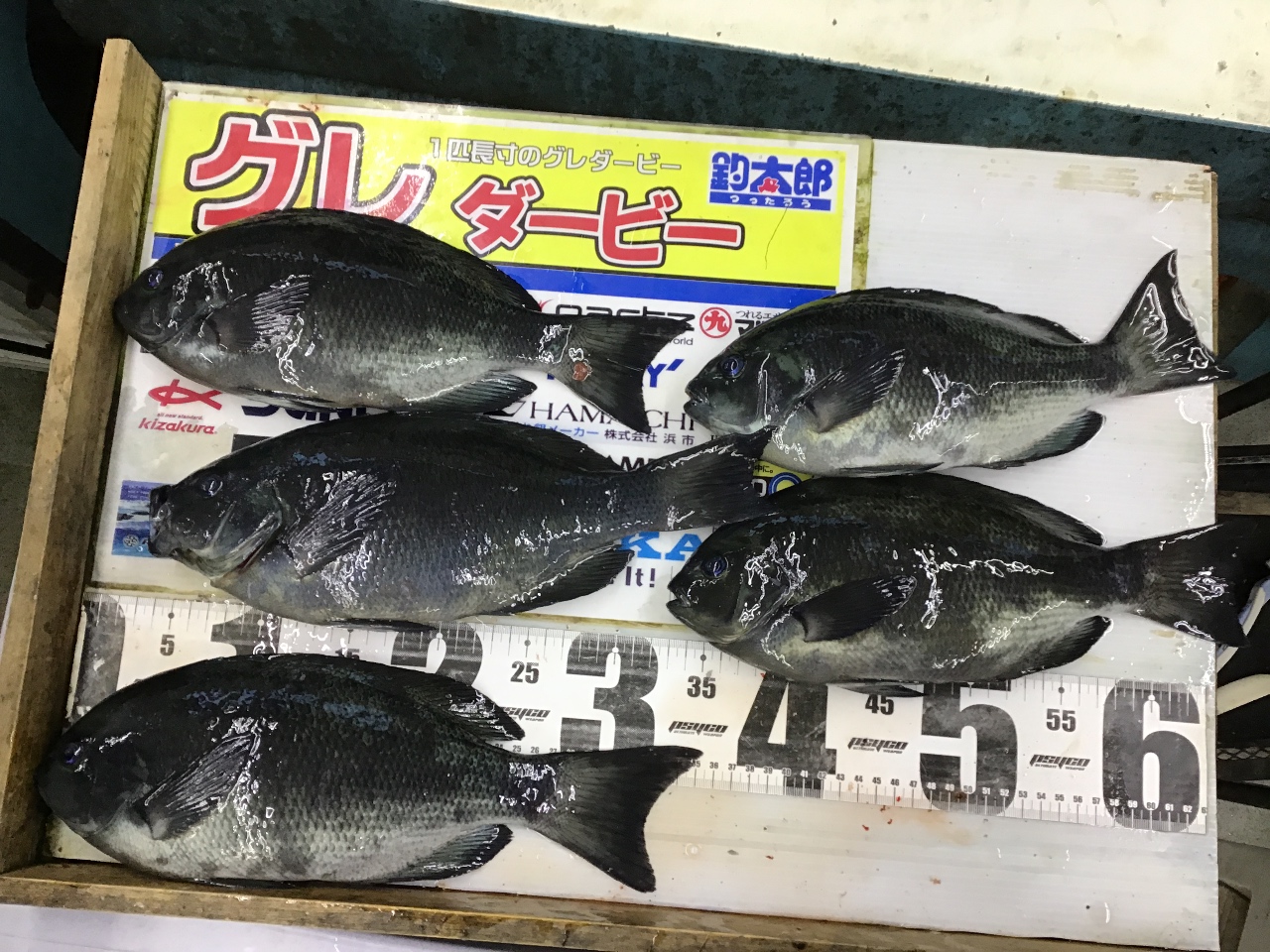 フカセ釣りのテクニック説明と同時に、魅力の説明。釣太郎