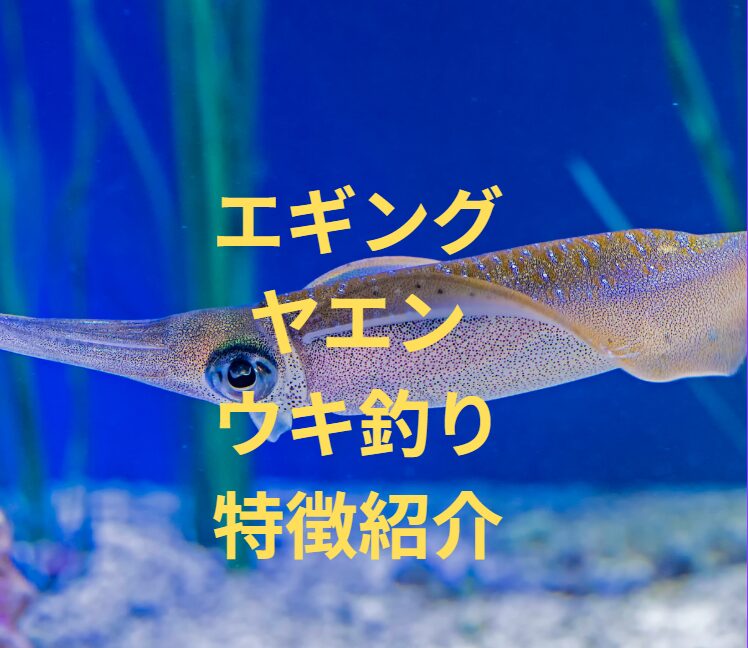 アオリイカ釣り、エギング、ヤエン、ウキ釣りがあるが、それぞれの特徴紹介。釣太郎