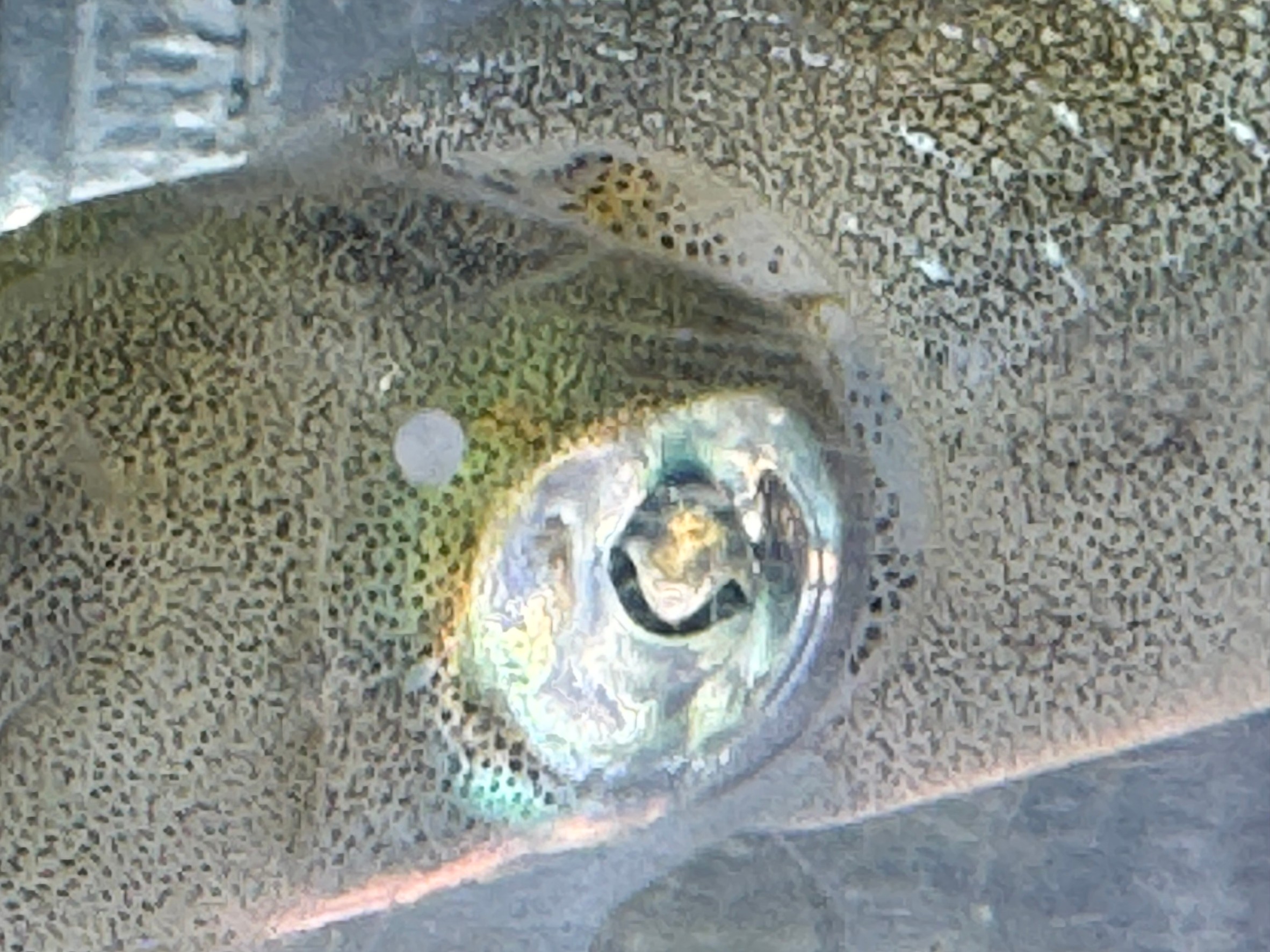 アオリイカは視力がいいが、活アジが棚に合っている時と、合っていない時では、どれほど違うのか？ヤエン、ウキ釣り参考資料。釣太郎