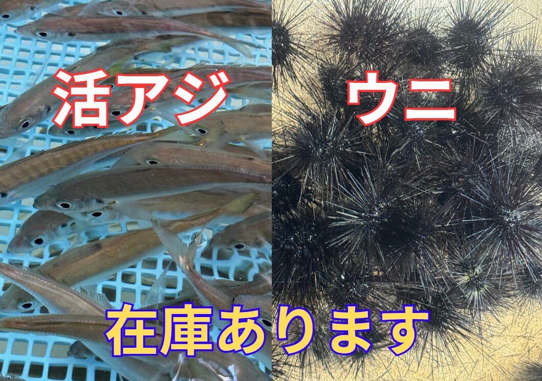 ウニは渡船出なかった時、お電話１本頂ければキャンセルOKです。釣太郎